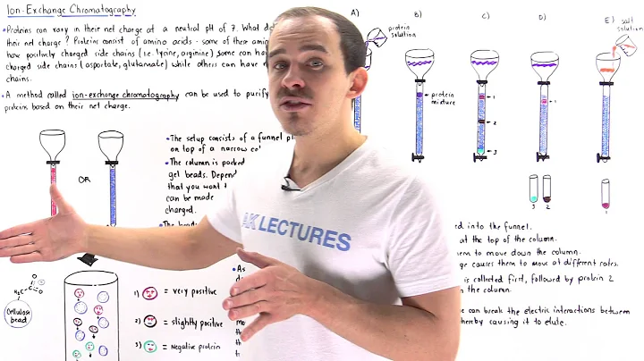 Ion Exchange Chromatography