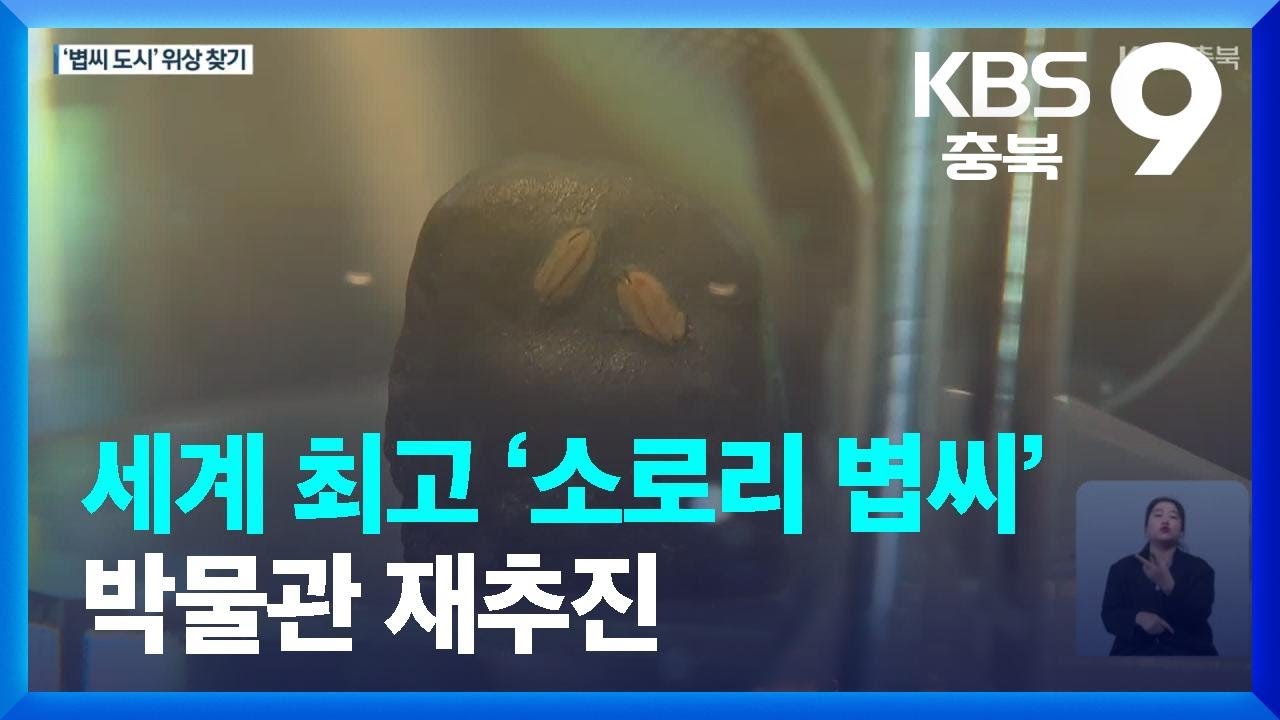 세계 최고 ‘소로리 볍씨’ 박물관 재추진…“농경 문화 역사 담는다” / KBS 2023.06.02. - YouTube
