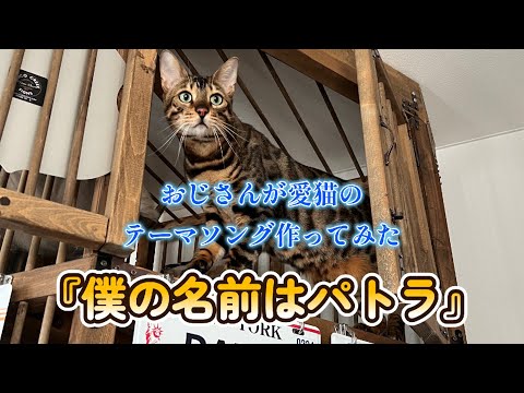 愛猫パトラのテーマソング『僕の名前はパトラ』