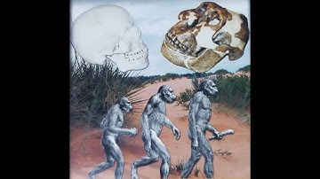 The Origin of Humans - Mike Riddle