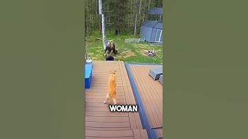 Thumbnail of This dog saves his owner at the last moment🥺❤️#shorts