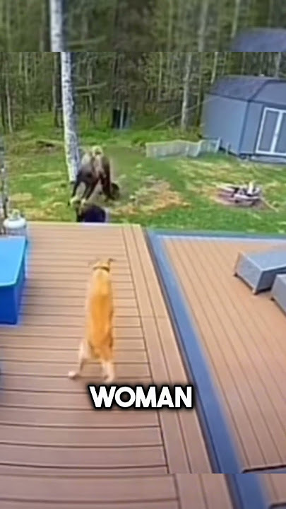 This dog saves his owner at the last moment🥺❤️#shorts
