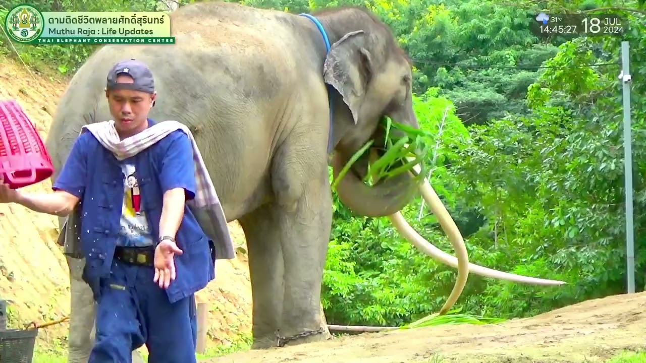 ตามติดชีวิต 