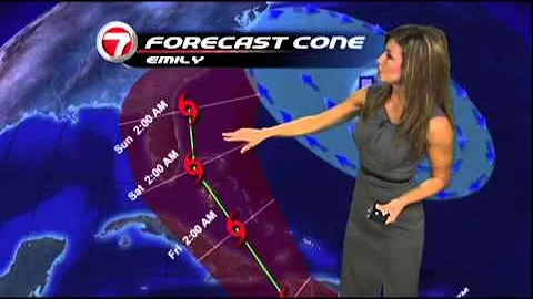 WSVN-TV Julie Durda Grey Dress 8/2/2011