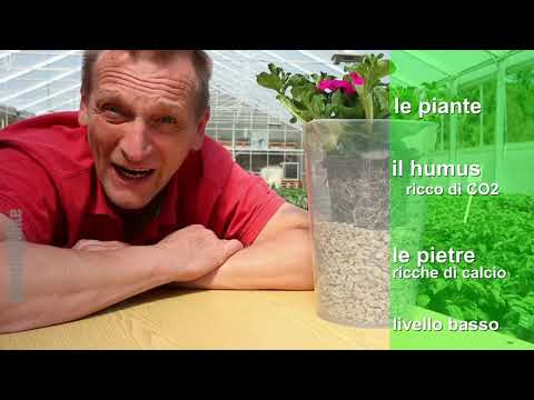 Video: Come Acidificare L'acqua