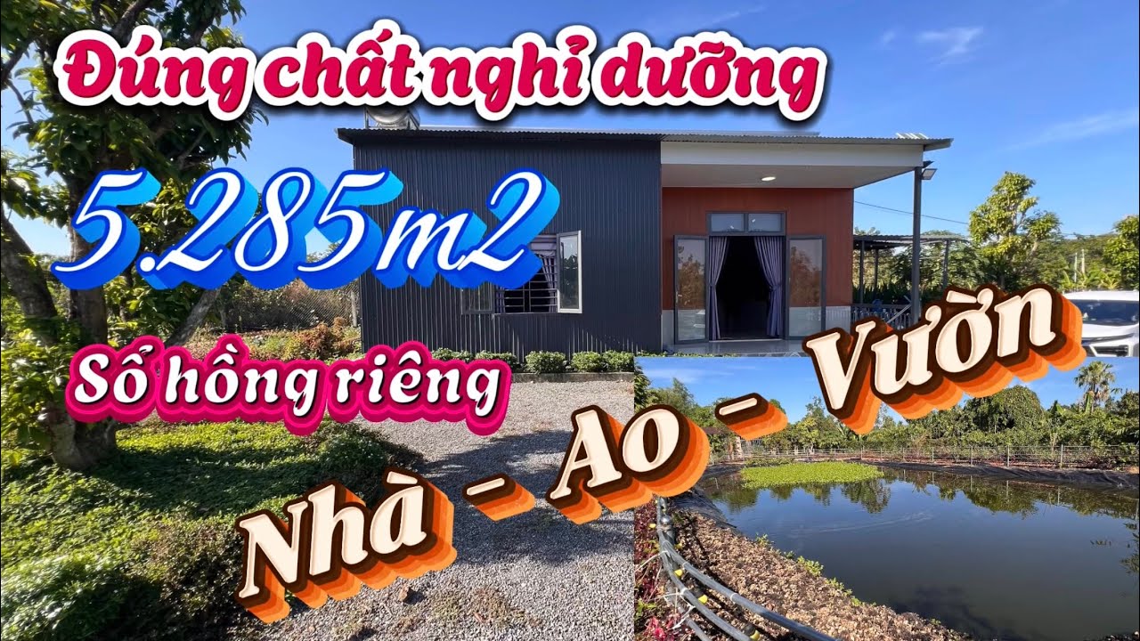 Về Quê Nghỉ Dưỡng - Nhà Vườn 5.285m² Có Ao Cá, 200 Gốc Mít Ruột Đỏ IDO - Chỉ 3 tỷ 150