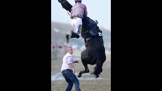 Arbitrageur Manages To Finish British Isles Race After Nearly Dismounting The Jockey
