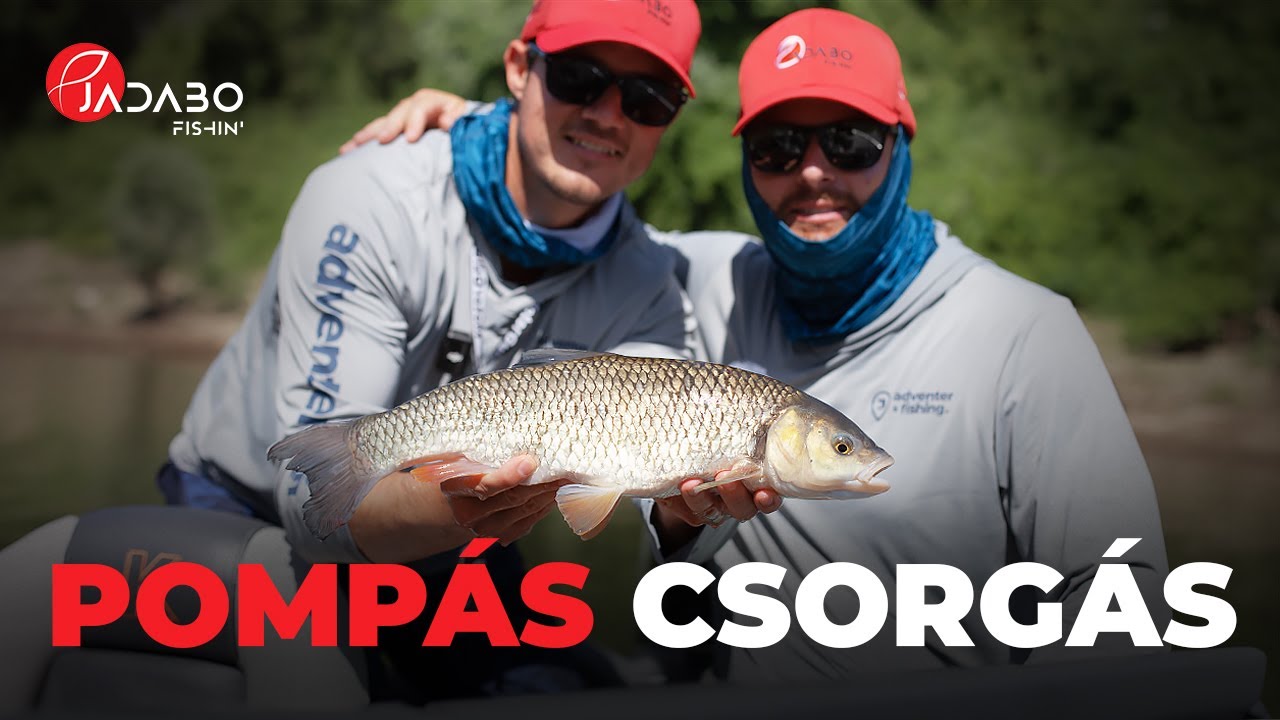 Balinos, domolykós csorgó peca a Tiszán Deák Ferivel és Hipszki Robival