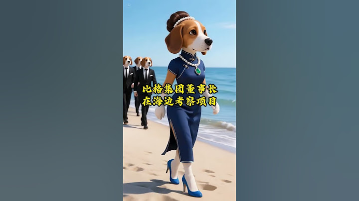 胖比格被现任丈夫陷害坠海幸好遇到贵人相救！在医院的她暗暗发誓一定要惩罚让她承受苦痛之人！#快成长计划 #影画演绎未来之星 #狗狗 #二次元