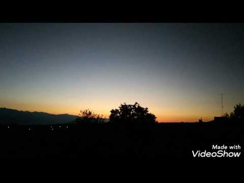 გზა რომელიც ჩვენ ფუტკრებთან ერთად გამოვიარეთ