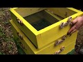 Best DIY Worm Farm for gardening or fishing | How to Woodworking