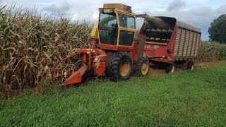 Opening Corn Fields With The Fox Chopper