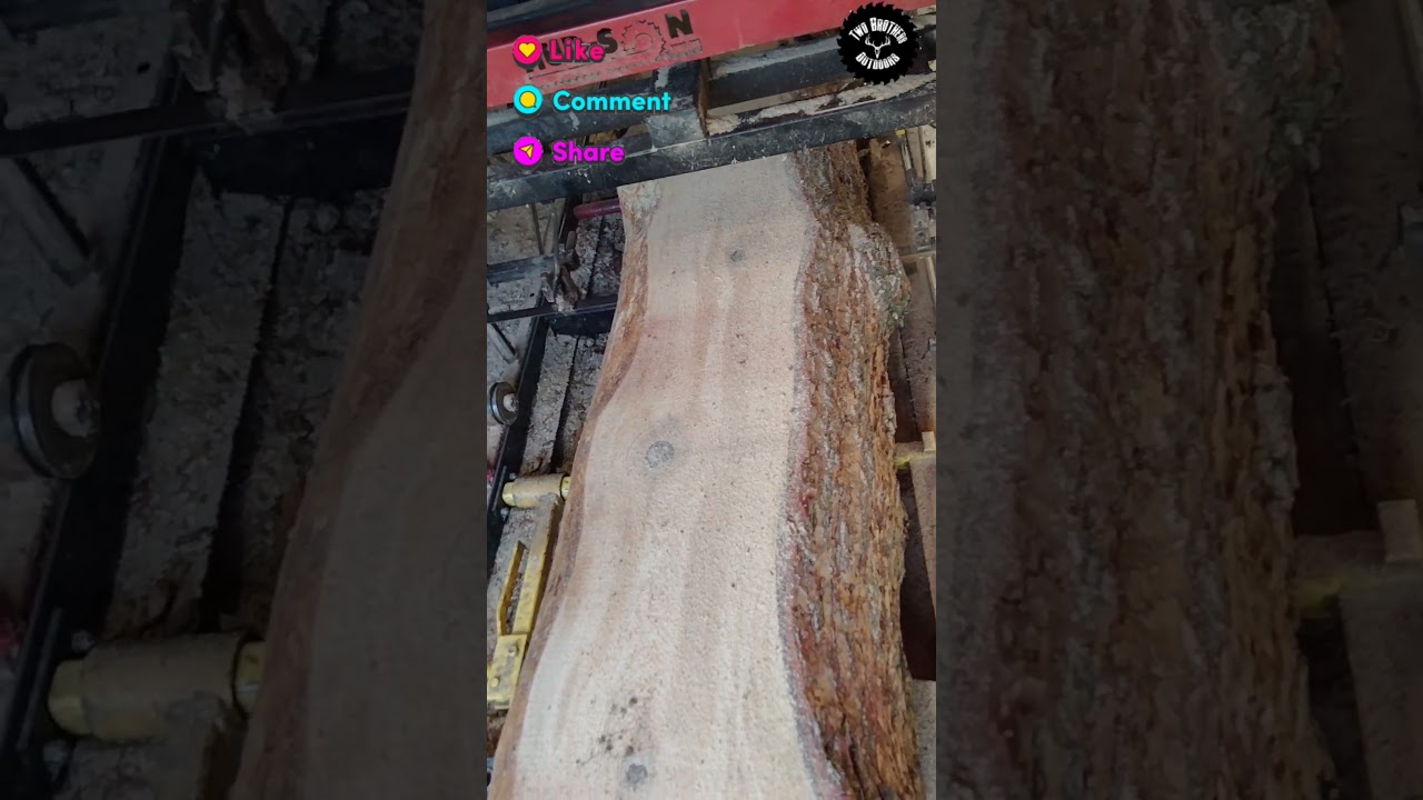 Top view! #wood #sawblade #forest