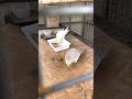 Cockatiels ko mirchi Kesey khelaye # feeding cockatiels chillies