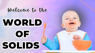 Introducing Solids To Your Baby: Complete Guide