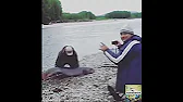 Охота& Рыбалка