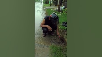 Unclog Culvert Drain Rain Water #culvert #unclog #shorts