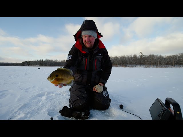 Early Ice Panfish, Will Pappenfus