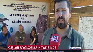 Trt Haber Kuzeydoga Aras Nehri Kus Cenneti Kuş Halkalama 2018 Eylul