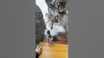 Gangeshwar temple #song #harharmahadev #viralvideo #omnamahshivaya #shorts