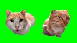 Green Screen Mr. Fresh Cats Meme