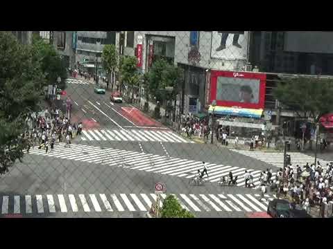 The World Famous Shibuya Crossing in Tokyo. 2018  @TheLaffen79