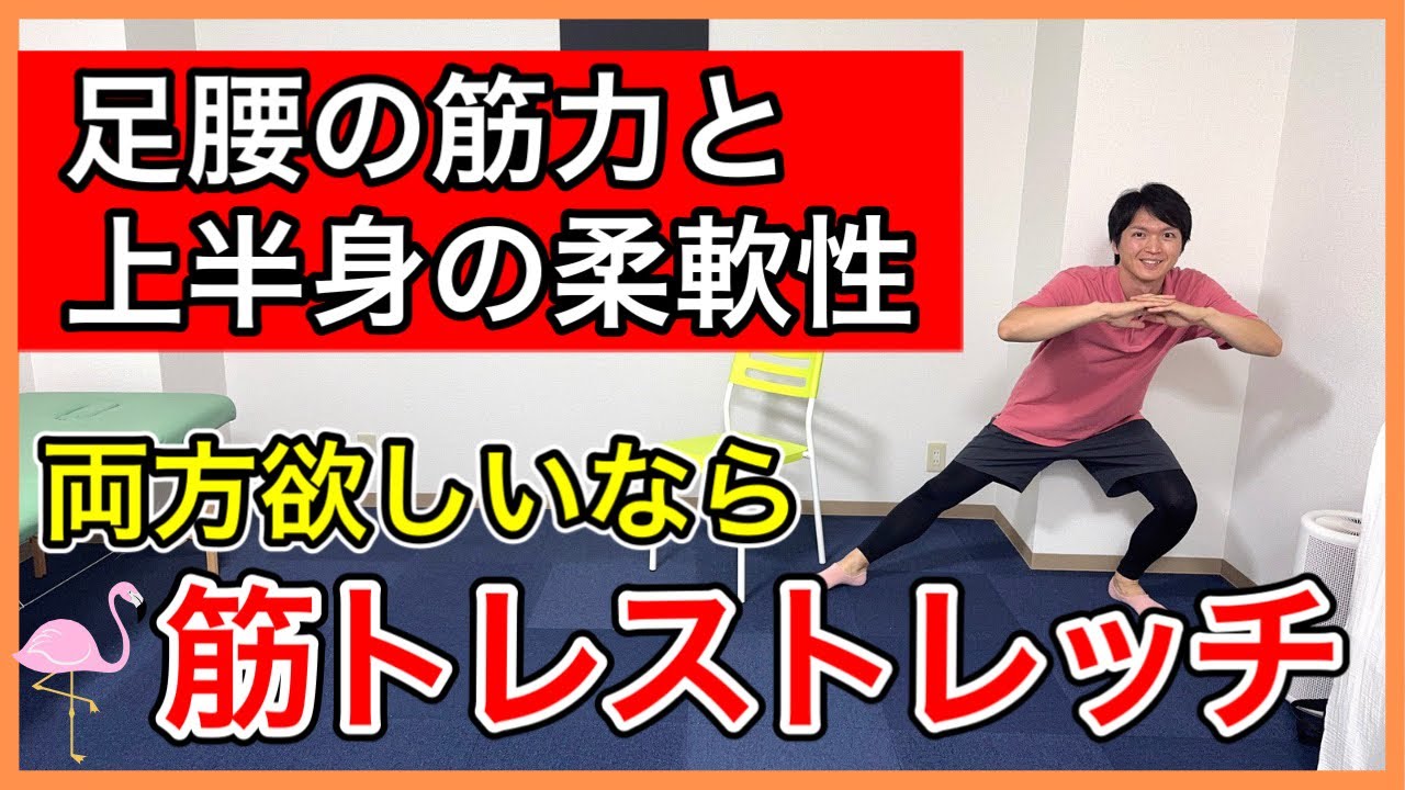 【60-70歳向け】今より足腰の筋力と上半身の柔軟性を強化したいなら最速で鍛えられる筋トレストレッチ
