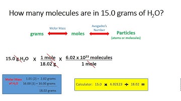 Moles- Converting Between Grams and Particles