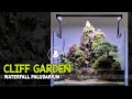 #46 - CLIFF GARDEN WATERFALL PALUDARIUM 60 cm | Set Up