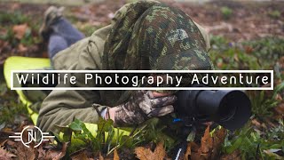 WILDLIFE PHOTOGRAPHY ADVENTURE | Foggy Bog and the Elusive Wilson's Snipe