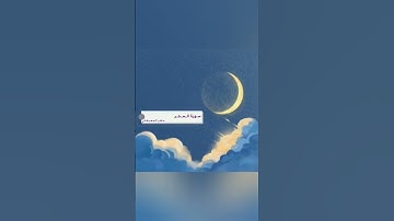 سورة الحشر بصوت القارئ ماهر المعيقلي #القرآن_الكريم