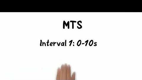 Momentary Time Sampling