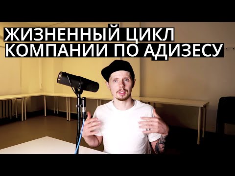 Жизненный цикл компании по Ицхаку Адизесу / Стадии цикла