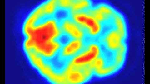 Robo-monkey uses brain power to feed itself