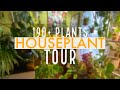 Houseplant Tour | Full Collection Summer 2020