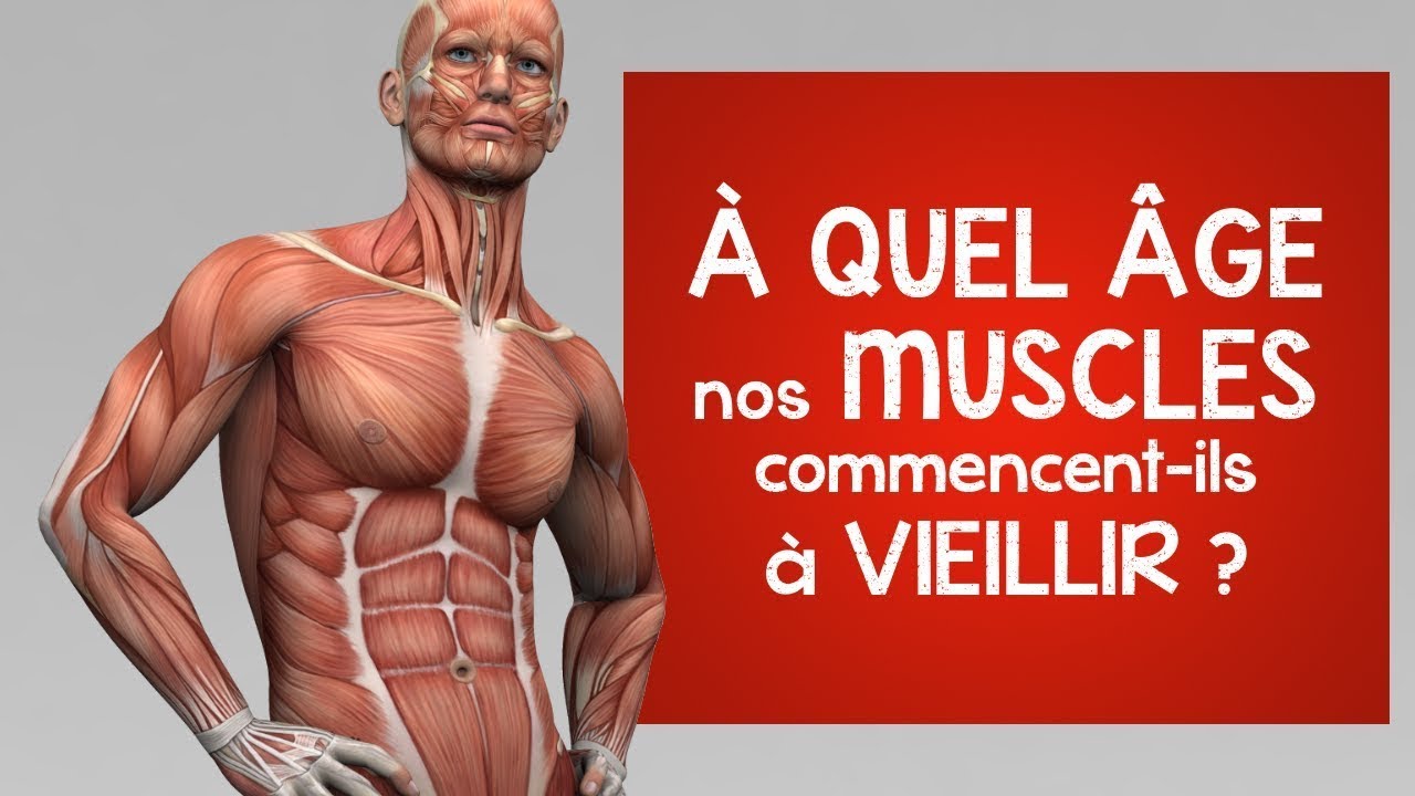 À quel âge nos muscles commencent-ils VRAIMENT à vieillir ?