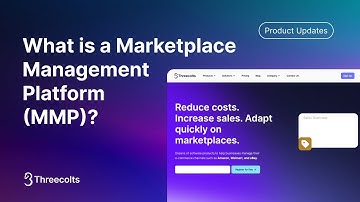 What is a Marketplace Management Platform (MMP) - What does Threecolts do?