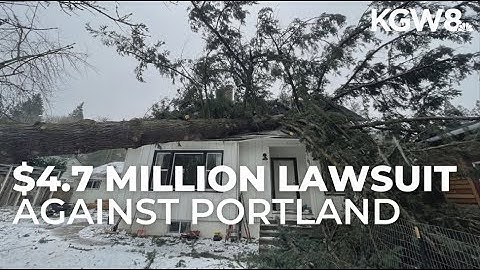 City of Portland sued for $4.7M after refusing permit for tree that later fell on family