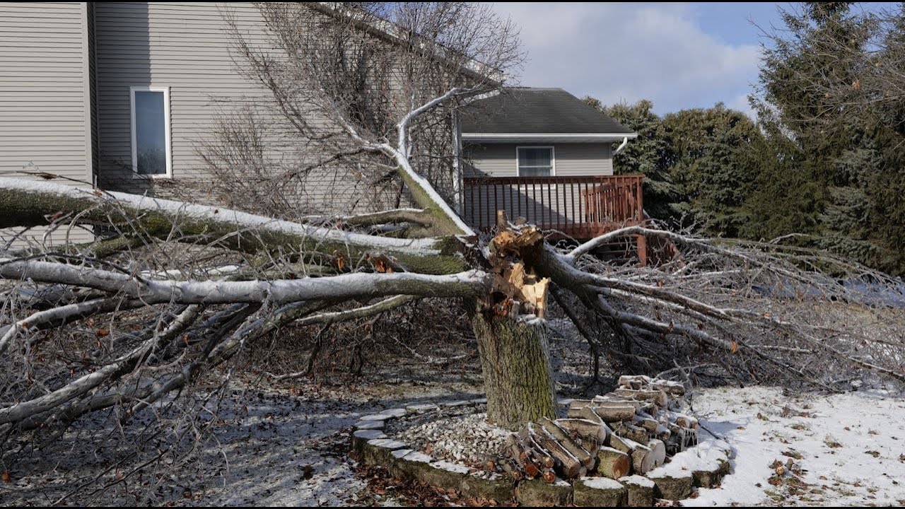 Disaster Tree Removal Time Lapse - YouTube