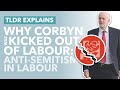 Why Corbyn Was Suspended from the Labour Party: Report Exposes Antisemitism in Labour - TLDR News