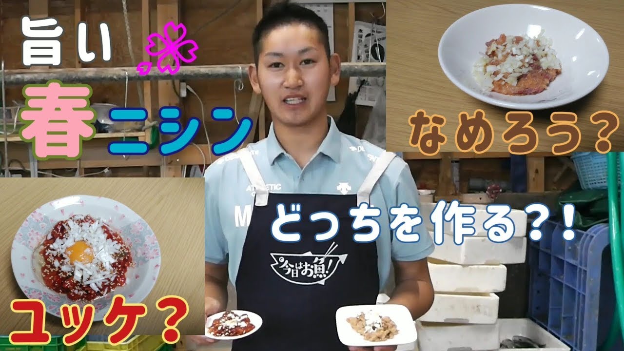 旨っ 春ニシンの美味しい食べ方を紹介 Youtube