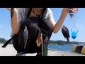 【海釣り】【サビキ釣り】海で小物釣りしてみた！