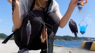 【海釣り】【サビキ釣り】海で小物釣りしてみた！
