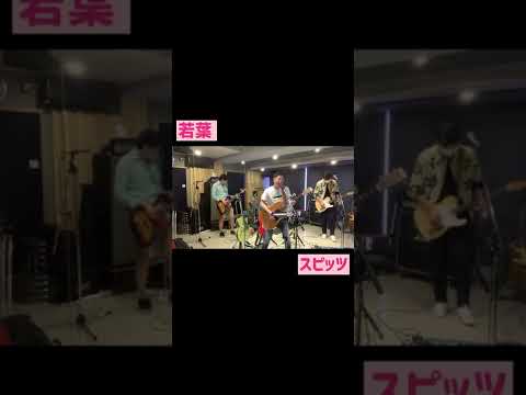 2021/07/04　若葉 / スピッツ　byサモエド旅に出る