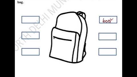 Ndmc class 5th sa 1 english paper discussion