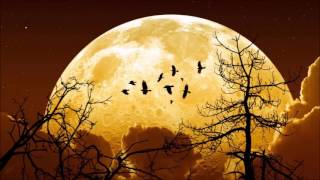 111416 Super MOON