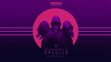 The Prototypes & TC - Species (DC Breaks Remix) | Bassrush Records