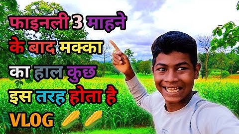 फाइनली 3 महीने के बाद मक्का का हाल कुछ इस तरह से होता है 🔥🌽 #my life vlog viral 