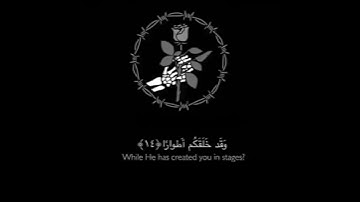 ما لكم لا ترجون لله وقارا || سورة نوح