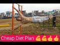 Low budget bodybuilding cheap  effective diet plan in hindi  morning workout diet plan